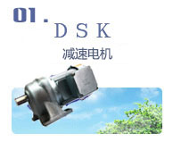 DSK 减速电机 